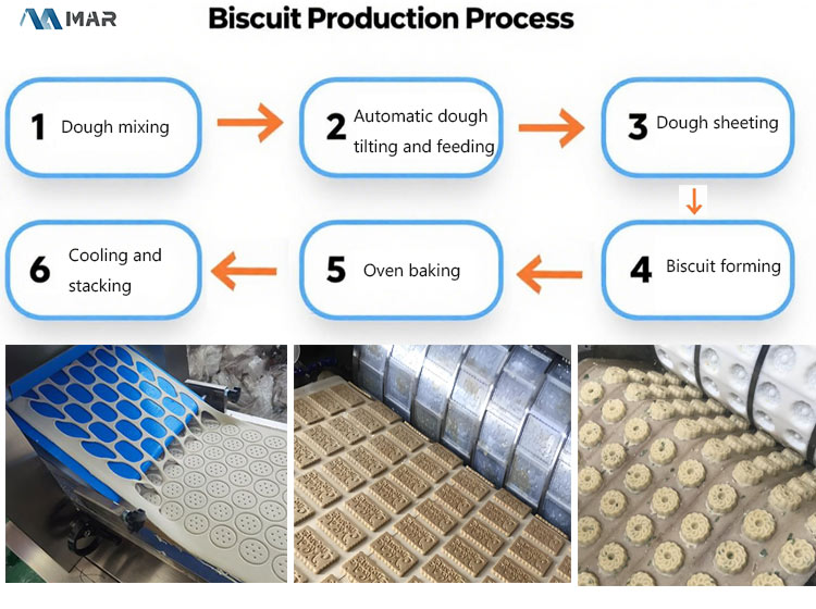 biscuit forming machine for sale